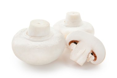 Şampiyon mantarları beyaz arkaplanda izole