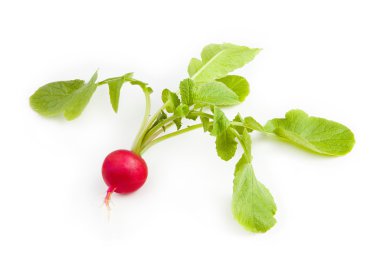 Beyaz arkaplanda taze kırmızı turp izole edildi.