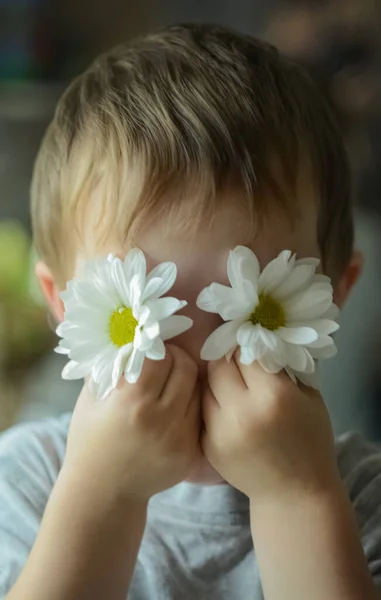 Küçük çocuk gözlerinin yanında beyaz çiçekler tutuyor. Eğlenen bir oğlanın fotoğrafı. Aile eğlencesi kavramı, bahar ya da yazın gelişi.