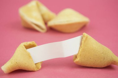 Talih kurabiyesi kıpkırmızı arka planda. Koyu pembe arka planda beyaz kağıtlı kırık kurabiyelerin yakın plan görüntüsü