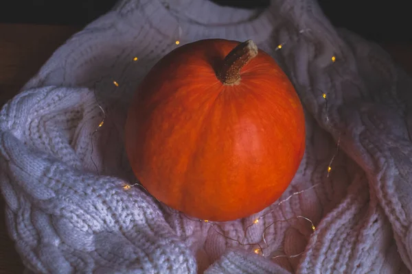 Orange pumpkin on a white knitted sweater with a garland. Thanksgiving background, concept of autumn mood, Halloween