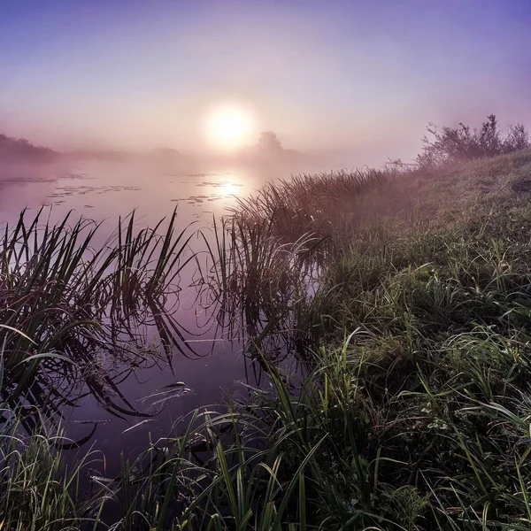 Sonnenaufgang über dem bayou clean — Stockfoto