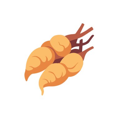 Tüm tatlı patates kökü tüp sebzesi, izole edilmiş düz stil vektör çizimi