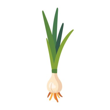 Taze yeşil soğan kökü, izole edilmiş düz stil vektör illüstrasyonu