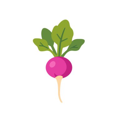 Yeşil yapraklı pembe turp kökü sebzesi, izole edilmiş düz stil vektör çizimi
