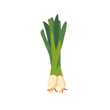 Fresh green leek vegetable bunch with bulbs, isolated flat style vector illustration