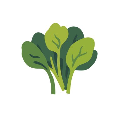 Taze hardal yeşillik yapraklı lahana sebze, izole edilmiş düz stil vektör çizimi