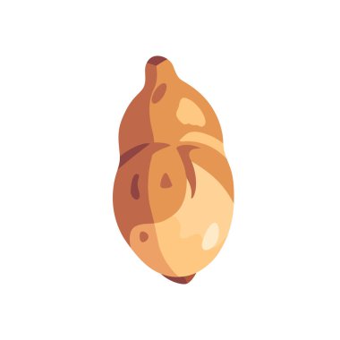 Taze Kudüs enginarı güneş boğucu kökü sebze, izole edilmiş düz stil vektör çizimi