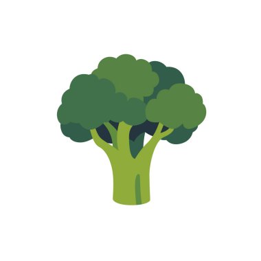 Çiçekli taze yeşil brokoli, izole edilmiş düz stil vektör çizimi.