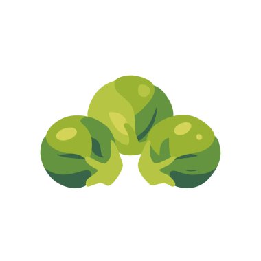 Yeşil Brüksel lahanası sebze yiyeceği, izole edilmiş düz stil vektör illüstrasyonu