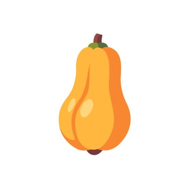 Taze portakallı tereyağlı kabak sebze meyvesi, izole edilmiş düz stil vektör çizimi.