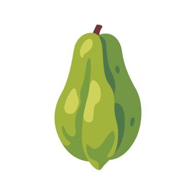 Yeşil chayote taze tropikal sebze ezmesi, izole edilmiş düz stil vektör çizimi