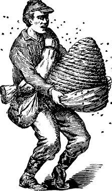 Vintage çizim arıcı