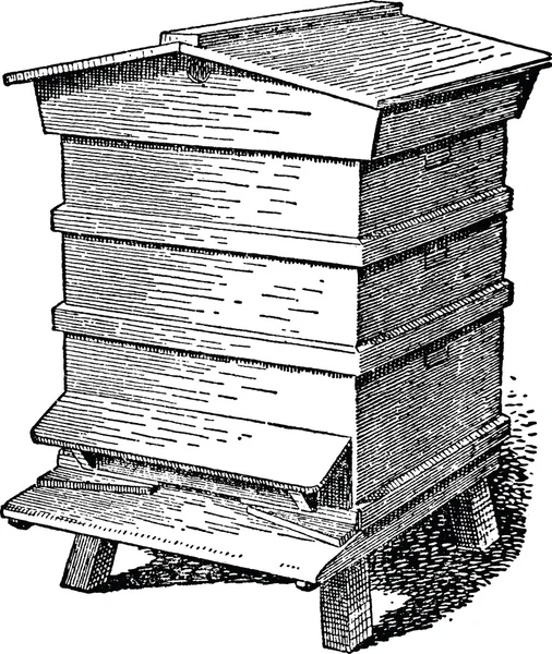 Vintage drawing beehive — Stock Photo, Image