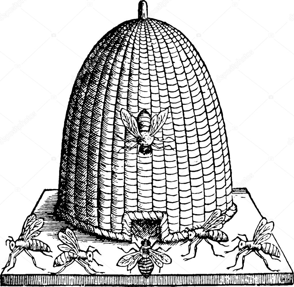 Beehive Illustration