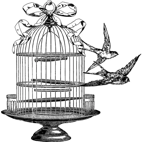 Винтажное изображение ласточка, птичья клетка — стоковое фото