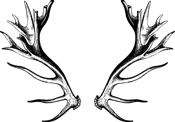 ビンテージ イメージの鹿の角 — ストック写真