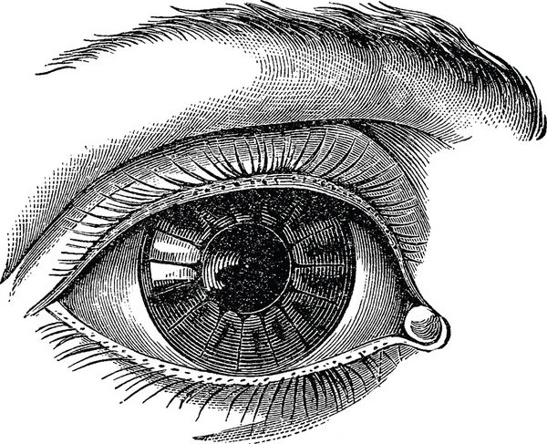 Vintage image human eye — Stock Photo, Image