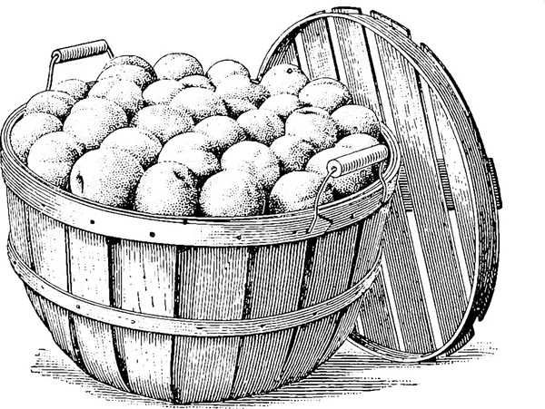 Vintage picture basket — Stock Photo, Image