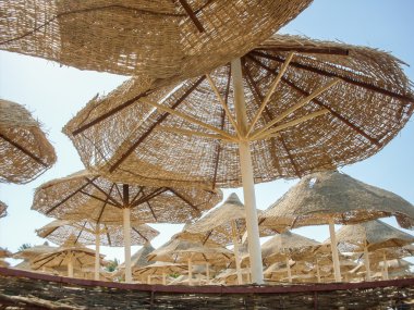 Sahilde Mısır şemsiye