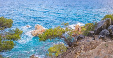 Çam dik kayalık clifie, İspanya