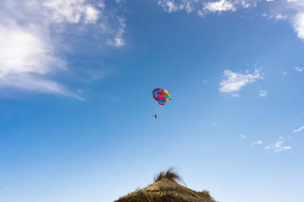 Plajda şemsiye üst üzerinde parasailing kişi