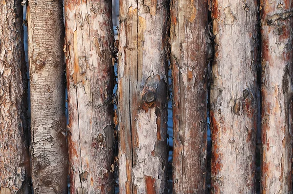 Wooden logs lie together — Stock Photo, Image