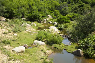 Vietnam, Phu yen province, dağ nehir