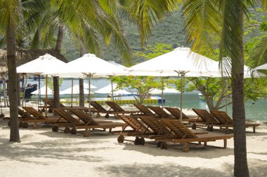 şezlong ve plaj şemsiye