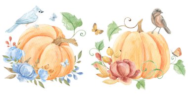 Suluboya kurdele çerçevesi. Kurdele yayı. Turuncu takım. Balkabakları, kuşlar, mantarlar. Davetiyeler ve kartlar için sonbahar tatili dekorasyonu. Çerçeve hazır. Suluboya çerçeve. Orman havası. Şükran Günü.