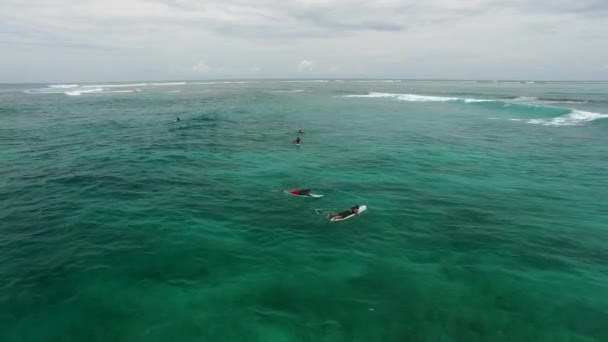 Surfistas à espera de onda — Vídeo de Stock