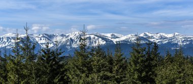 Chornohora dağ sırtı manzarası