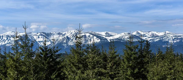 Chornohora dağ sırtı manzarası