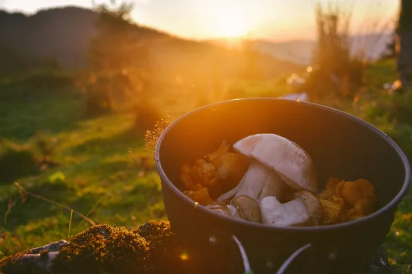 Günbatımı bir arka plan üzerinde bir tencerede mantar