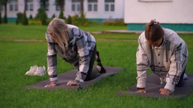 İki atletik kadın gündelik giysiler içinde eşzamanlı boyun ve omuz egzersizleri yaparken yeşil çimlerin üzerinde yoga minderleri üzerinde diz çökerek sağlıklı ve aktif bir yaşam tarzını teşvik ediyorlar.