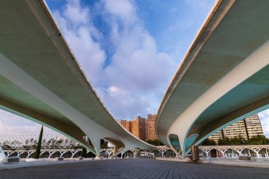 Montolivet Köprüsü 'nün sanat ve bilim şehrindeki sabah gökyüzüne karşı zarif eğimli çizgilerinin ayrıntılı görüntüsü, Valencia, İspanya.