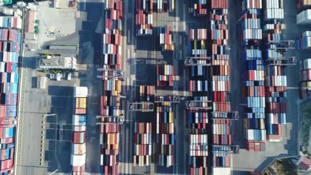 有集装箱的工业港口 从事进出口业务和物流的集装箱船 用起重机运送货物到港口 国际水运组织 空中景观 — 图库视频影像