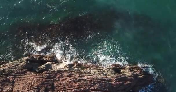 Вид Повітряних Птахів Дивиться Вниз Морські Хвилі Падають Зелене Синє — стокове відео