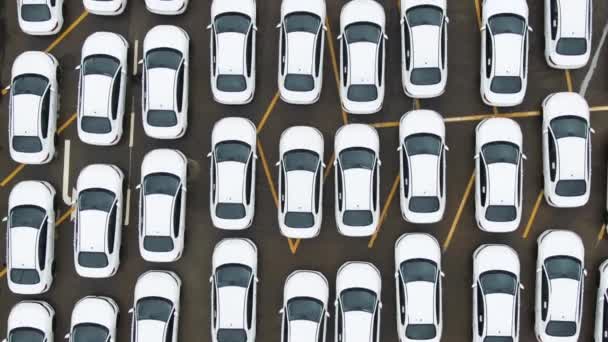 Aerial View New Cars Lined Port Import Export Aerial View — Stock Video