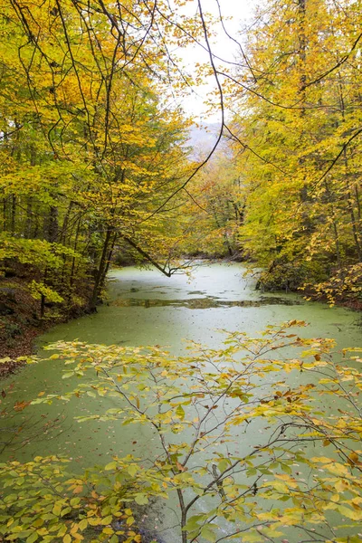 호수와 가을과 속에서 야영을 수있다 터키의 — 스톡 사진