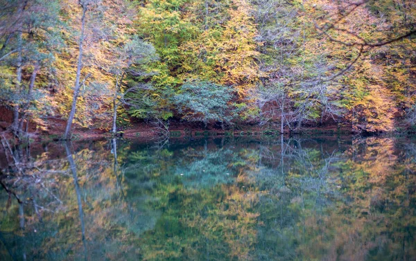 Lago Bosque Vista Naturaleza Otoño Bosque Vista Camping Aire Libre —  Fotos de Stock