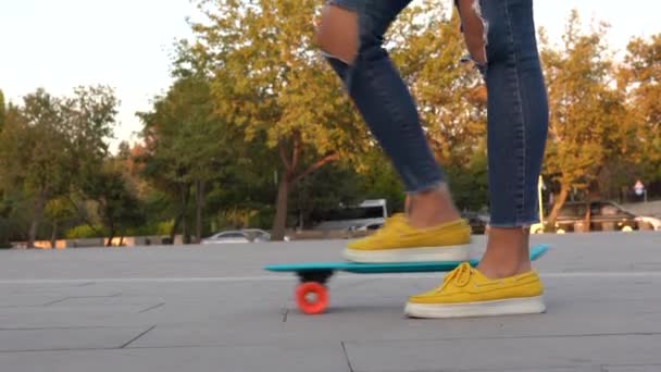 Avslutning Skateboard Parken – stockvideo