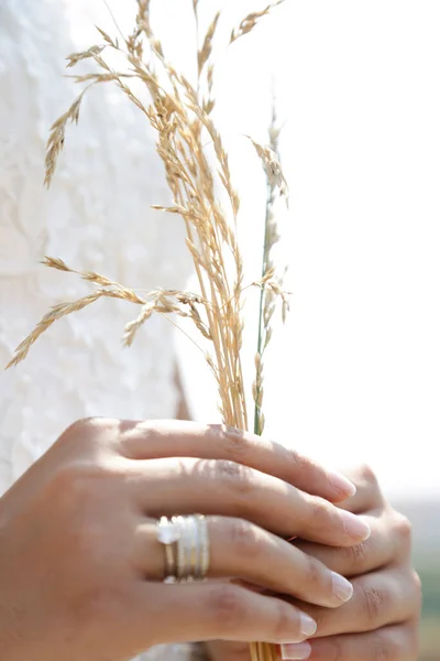 Braut Hält Weizenähren Den Händen — Stockfoto