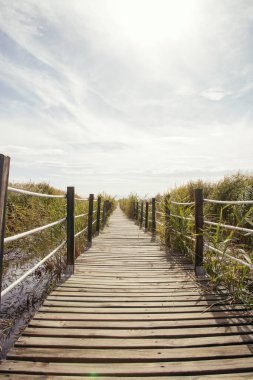 Sazlıklar, gökyüzü, bulutlar ve güneş ışığıyla çevrili ahşap köprü. Doğa arkaplanı
