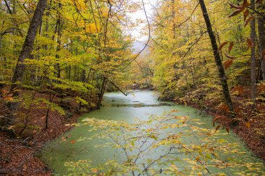 Sonbahar orman manzarası, hindi yedi göl.