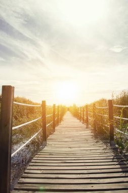Sazlıklar, gökyüzü, bulutlar ve güneş ışığıyla çevrili ahşap köprü. Doğa arkaplanı
