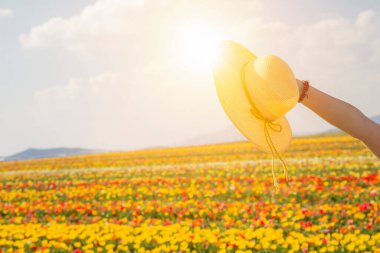 Ayçiçekleri Tarlasında Güzel Genç Bir Kadın