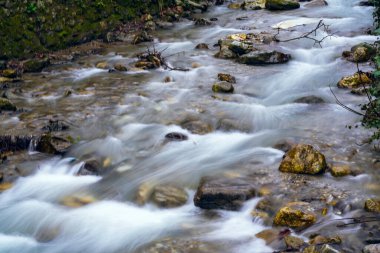 Bahar ormanında şelalesi olan güzel bir dağ deresi.