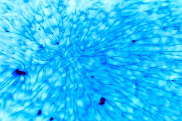 Arka plan olarak kullanmak için akrilik karışımının yakın plan soyut rengi. Mermer desenli akrilik desen, mermer arkaplan