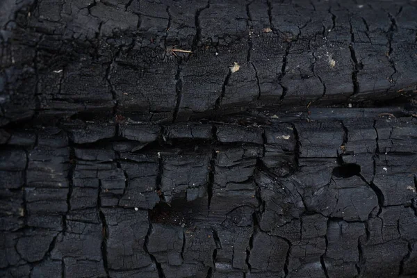 Primer Plano Del Tronco Madera Quemada Textura Natural — Foto de Stock